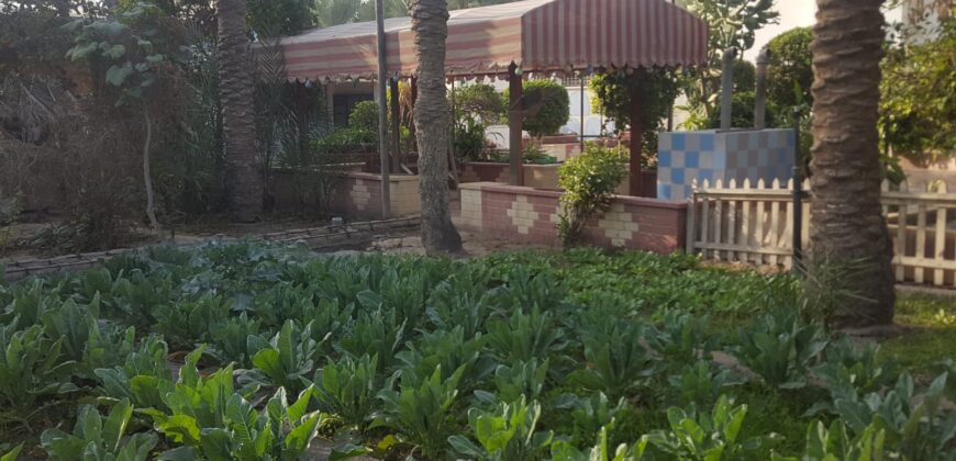 Residential farm for sale located in Bani Jamrah